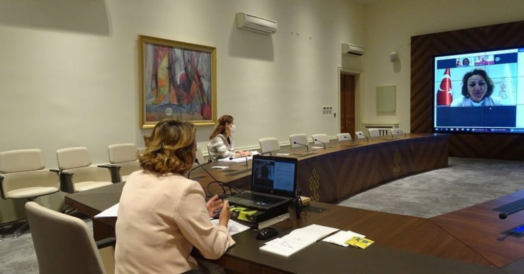 Kültür ve Turizm Bakanlığı, Çağdaş Sanatçıları Webinar’da Dinledi