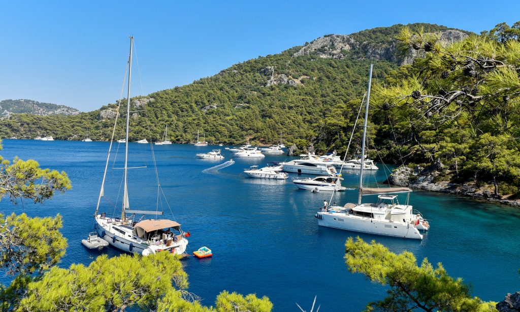 #DenizdeHayatVar diyen CarrefourSA Mavi’den Göcek’teki Deniz Hayatını Korumaya Destek