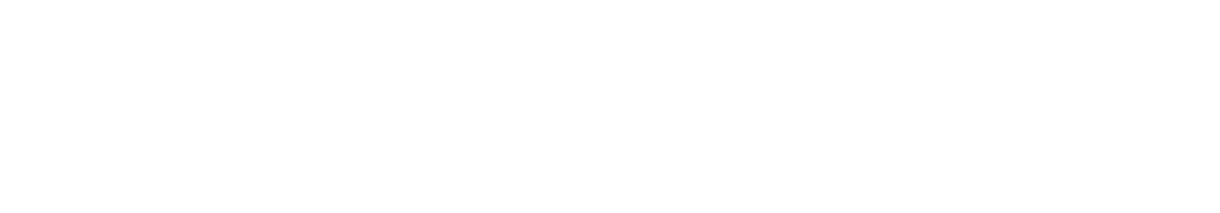 revslide5_kallyas.png